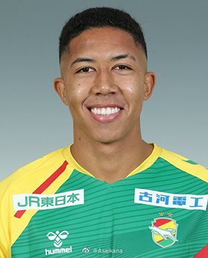日本天天操