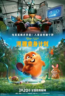 柚月向日葵在线