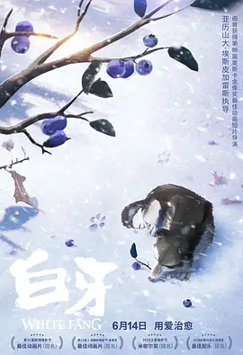给个网站2021年直接进入的