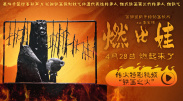 明星合成网