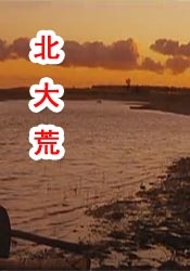 伊人久久亚洲精品