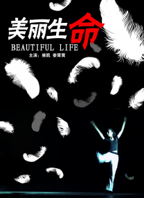 欧美一区二区三区免费