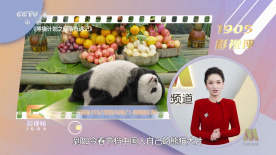 一线天逼